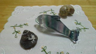 フローライトのイルカ