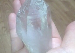 何か生き物が入ってるような不思議な感覚でした