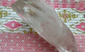 今まで一緒にいなかったのが不思議