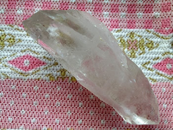 今まで一緒にいなかったのが不思議