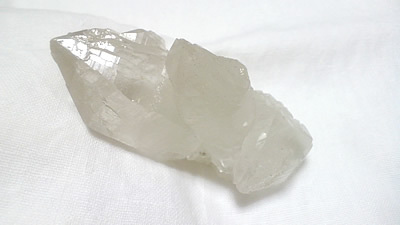 なくてはならない存在になり そうです