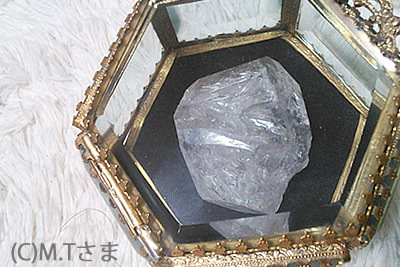 やっぱり可愛いですね！