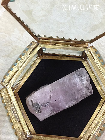 日々過ごしていく中で、心が穏やかになりました